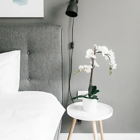 Charming Downtown With Park View Bucarest