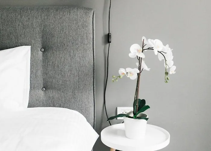 Charming Downtown With Park View Bukarest